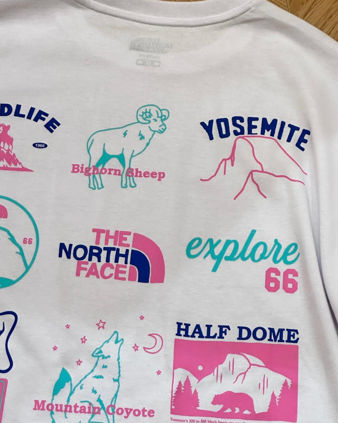 THE NORTH FACE HIKING TEE | 4 COLORS