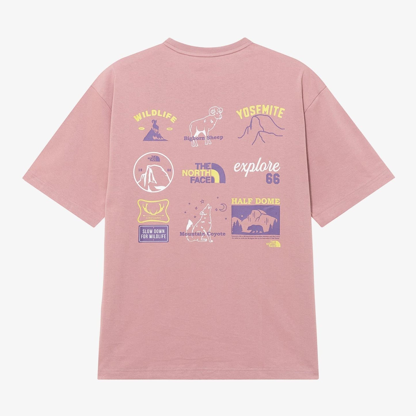 THE NORTH FACE HIKING TEE | 4 COLORS