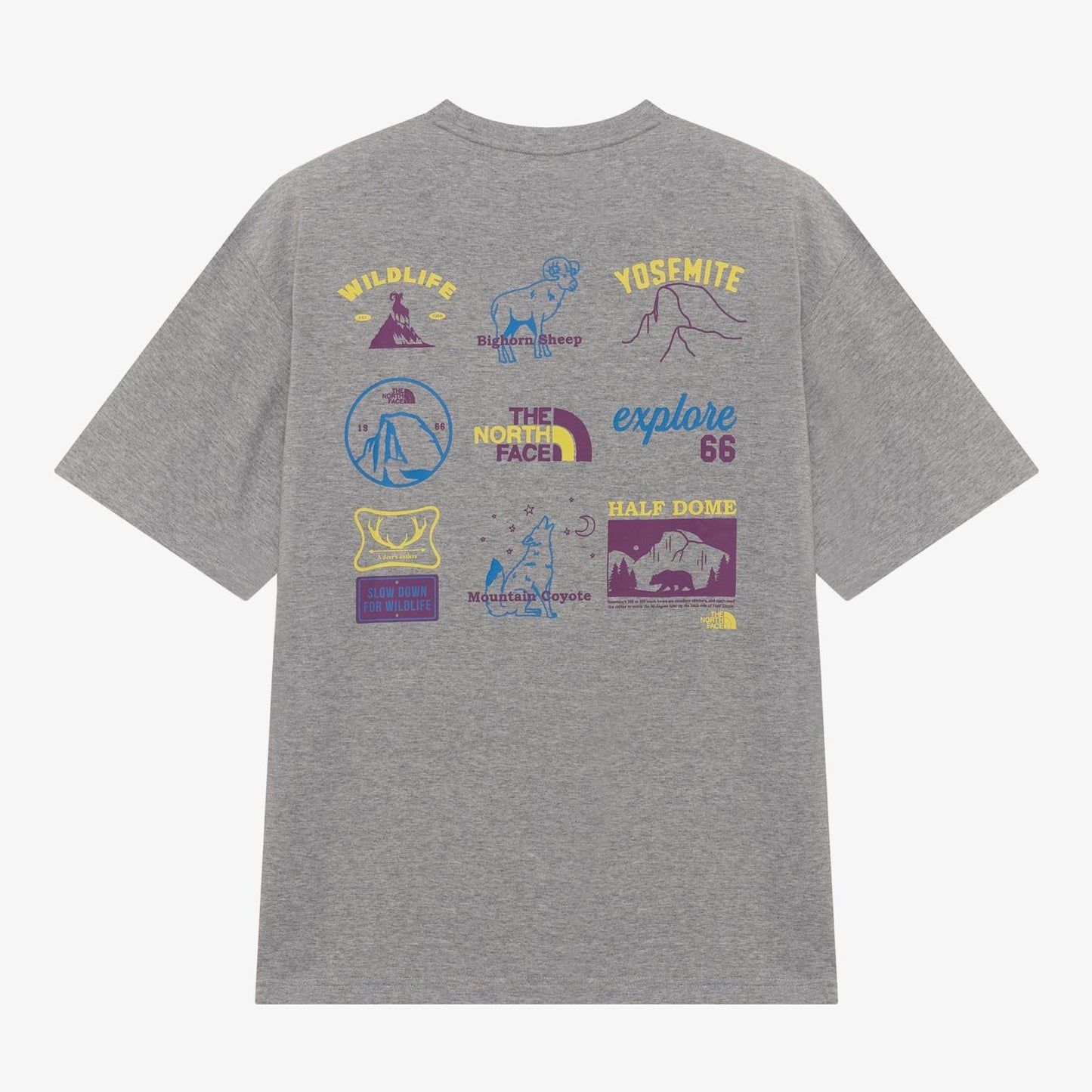 THE NORTH FACE HIKING TEE | 4 COLORS