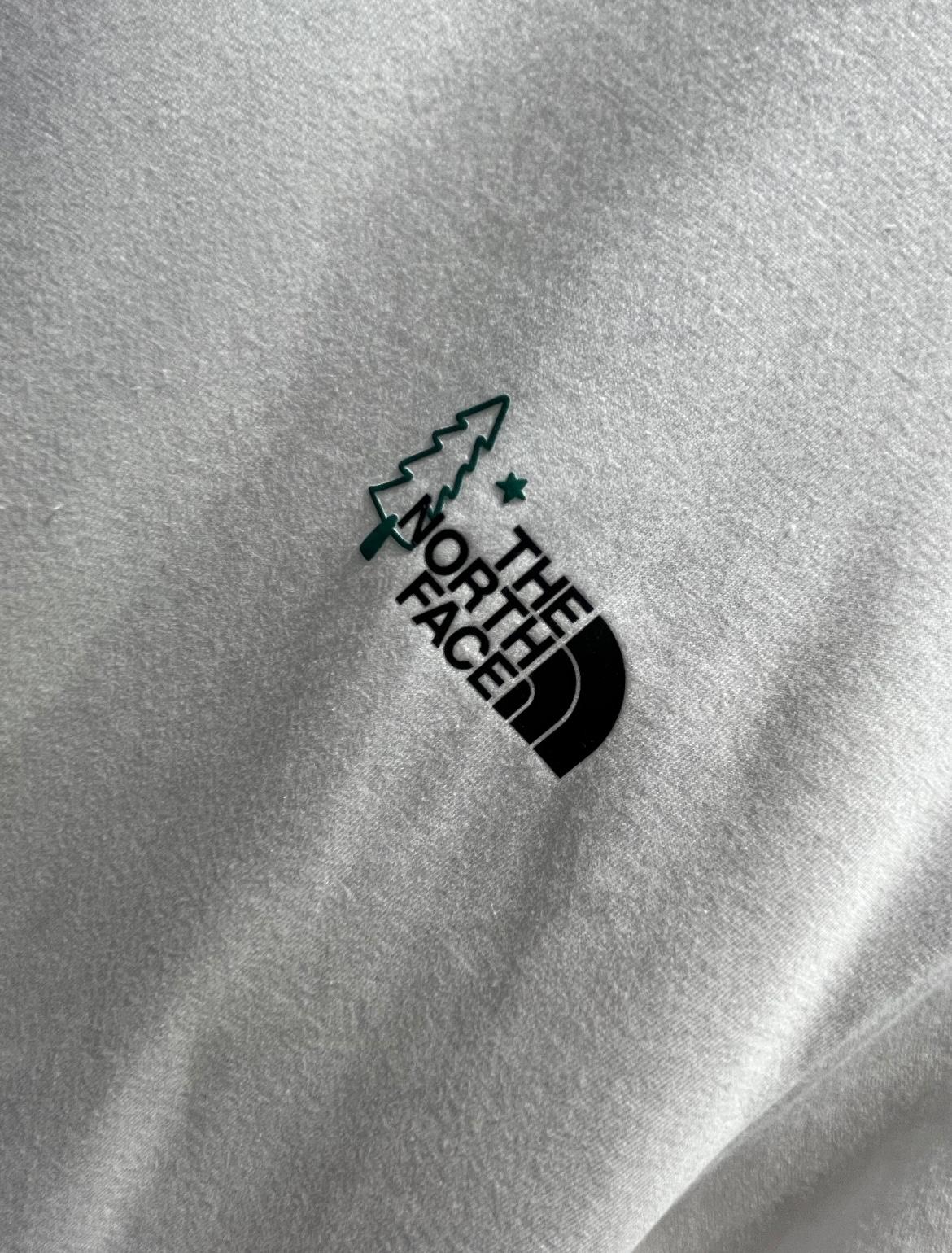 THE NORTH FACE BEAR TEE | 3 COLORS