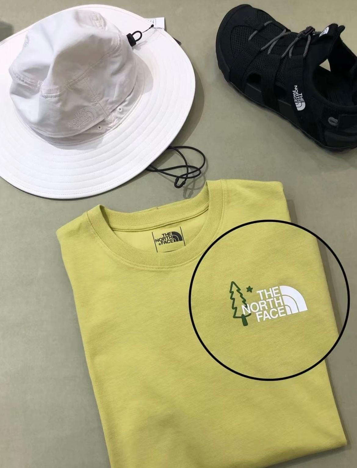 THE NORTH FACE BEAR TEE | 3 COLORS