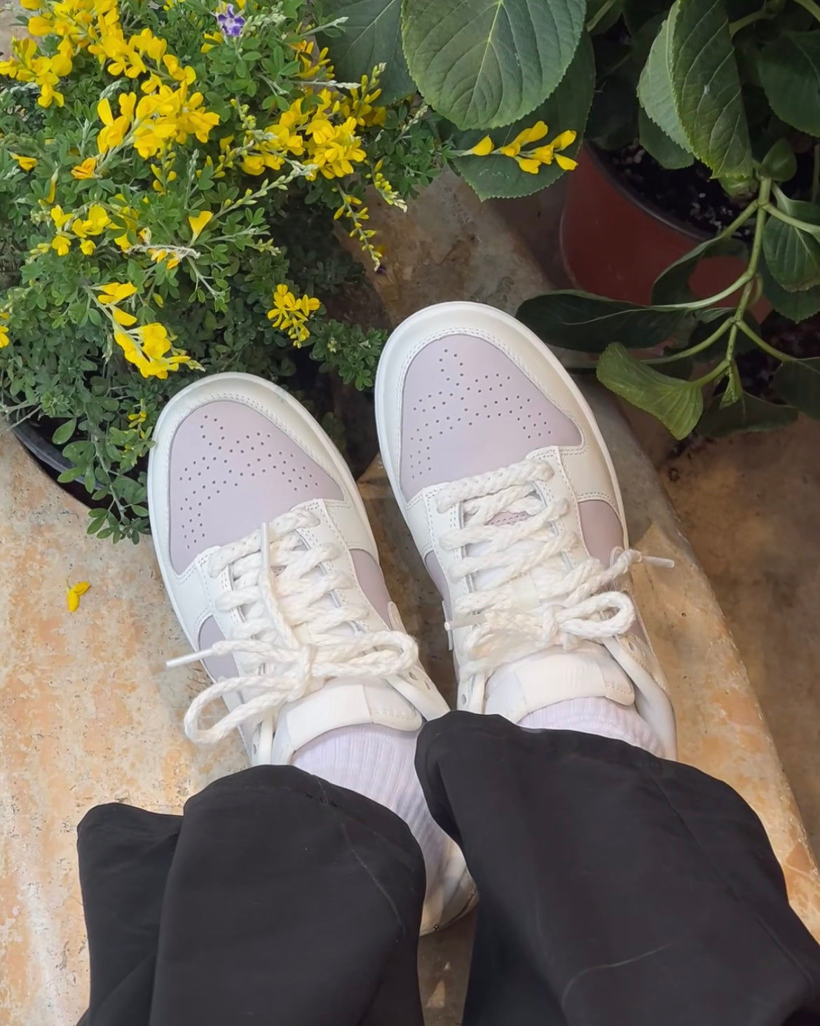 NIKE DUNK LOW | MILKY TARO